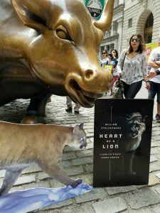 charging bull meets heart of a lion 