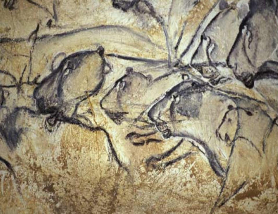 Ancient art depicting lions in Chauvet Cave, Ardeche, France